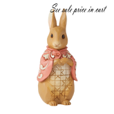 Peter Rabbit 6010693
