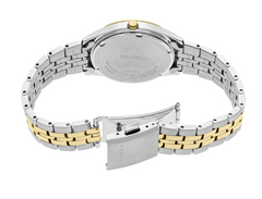 Seiko ESSENTIALS SUR430