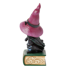 Black Cat Sitting on Book Pint Jim Shore Heartwood Creek 6016645