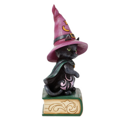 Black Cat Sitting on Book Pint Jim Shore Heartwood Creek 6016645