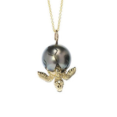 Turtle Collection Hawaii