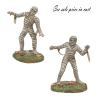 Mummies walking 6010452