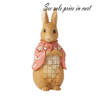 Peter Rabbit 6010693