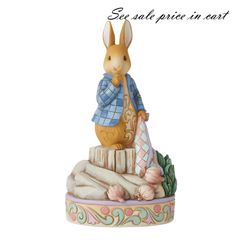 Peter Rabbit with Onions 6010687