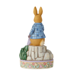 Peter Rabbit with Onions 6010687