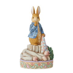 Peter Rabbit with Onions 6010687