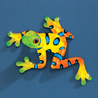 Rain Forest Frog S2 217