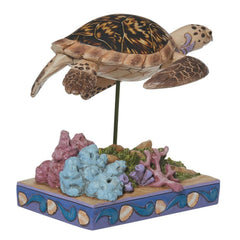Enesco Jim Shore Animal Planet Collection Everyday Hawksbill Sea Turtle6010941